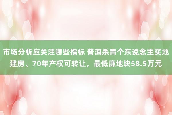 市场分析应关注哪些指标 普洱杀青个东说念主买地建房、70年产权可转让，最低廉地块58.5万元