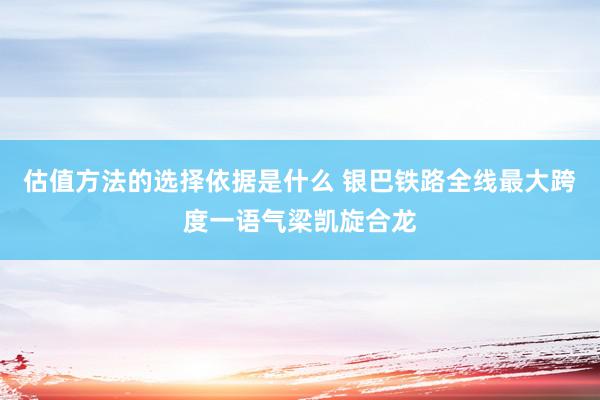 估值方法的选择依据是什么 银巴铁路全线最大跨度一语气梁凯旋合龙