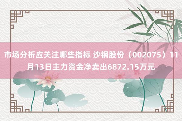 市场分析应关注哪些指标 沙钢股份（002075）11月13日主力资金净卖出6872.15万元