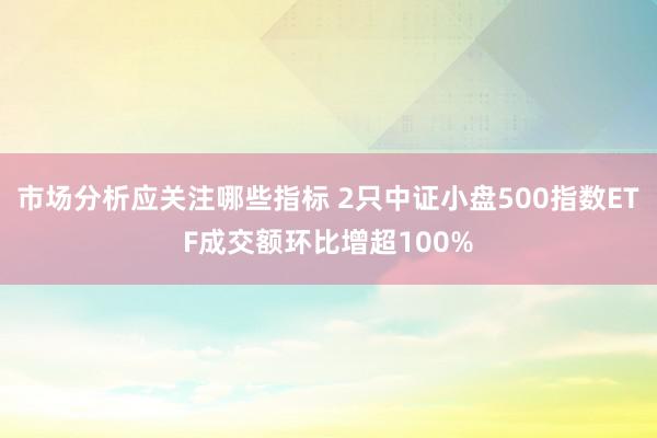 市场分析应关注哪些指标 2只中证小盘500指数ETF成交额环比增超100%