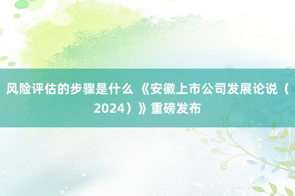 风险评估的步骤是什么 《安徽上市公司发展论说（2024）》重磅发布