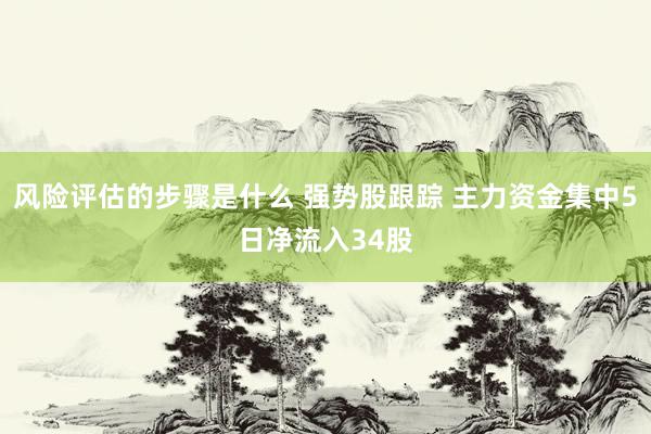 风险评估的步骤是什么 强势股跟踪 主力资金集中5日净流入34股