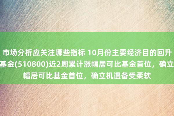 市场分析应关注哪些指标 10月份主要经济目的回升显著！50ETF基金(510800)近2周累计涨幅居可比基金首位，确立机遇备受柔软