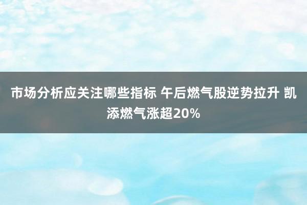 市场分析应关注哪些指标 午后燃气股逆势拉升 凯添燃气涨超20%