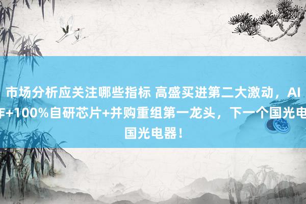 市场分析应关注哪些指标 高盛买进第二大激动，AI欺诈+100%自研芯片+并购重组第一龙头，下一个国光电器！