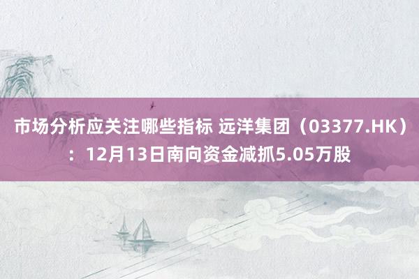 市场分析应关注哪些指标 远洋集团（03377.HK）：12月13日南向资金减抓5.05万股