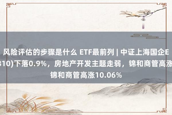 风险评估的步骤是什么 ETF最前列 | 中证上海国企ETF(510810)下落0.9%，房地产开发主题走弱，锦和商管高涨10.06%