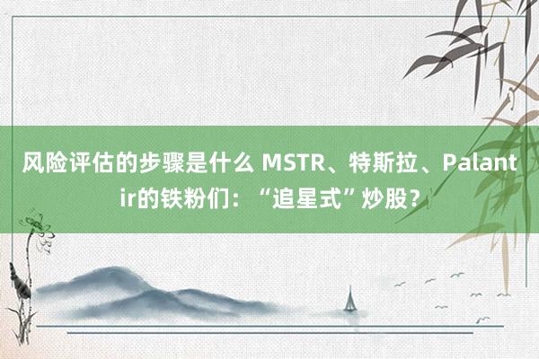 风险评估的步骤是什么 MSTR、特斯拉、Palantir的铁粉们：“追星式”炒股？