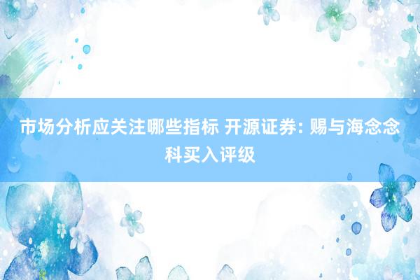 市场分析应关注哪些指标 开源证券: 赐与海念念科买入评级