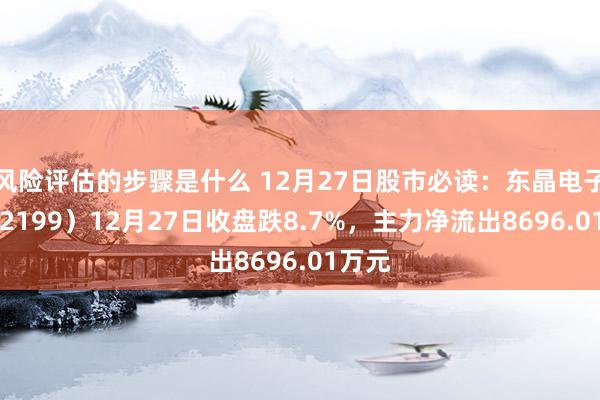 风险评估的步骤是什么 12月27日股市必读：东晶电子（002199）12月27日收盘跌8.7%，主力净流出8696.01万元