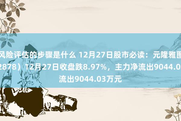 风险评估的步骤是什么 12月27日股市必读：元隆雅图（002878）12月27日收盘跌8.97%，主力净流出9044.03万元