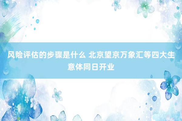 风险评估的步骤是什么 北京望京万象汇等四大生意体同日开业