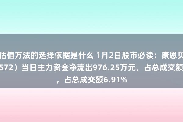 估值方法的选择依据是什么 1月2日股市必读：康恩贝（600572）当日主力资金净流出976.25万元，占总成交额6.91%