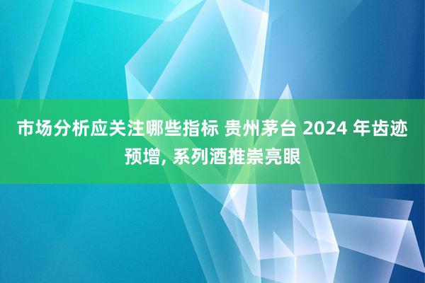 市场分析应关注哪些指标 贵州茅台 2024 年齿迹预增, 系列酒推崇亮眼