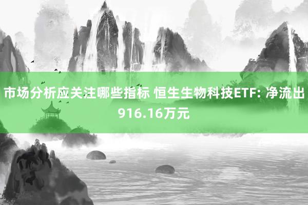 市场分析应关注哪些指标 恒生生物科技ETF: 净流出916.16万元