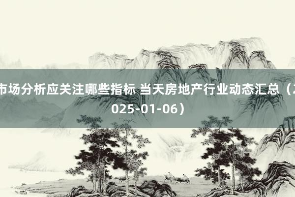 市场分析应关注哪些指标 当天房地产行业动态汇总（2025-01-06）