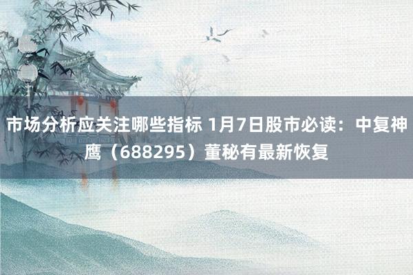 市场分析应关注哪些指标 1月7日股市必读：中复神鹰（688295）董秘有最新恢复