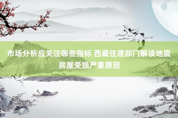 市场分析应关注哪些指标 西藏住建部门解读地震房屋受损严重原因