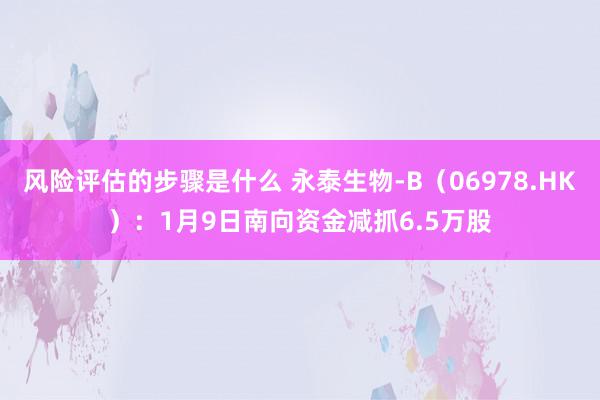 风险评估的步骤是什么 永泰生物-B（06978.HK）：1月9日南向资金减抓6.5万股