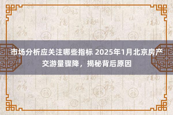 市场分析应关注哪些指标 2025年1月北京房产交游量骤降，揭秘背后原因