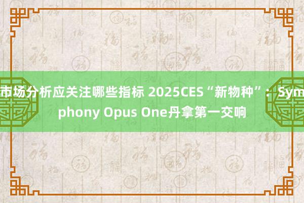 市场分析应关注哪些指标 2025CES“新物种”：Symphony Opus One丹拿第一交响