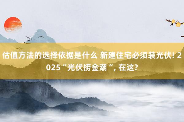 估值方法的选择依据是什么 新建住宅必须装光伏! 2025“光伏捞金潮“, 在这?