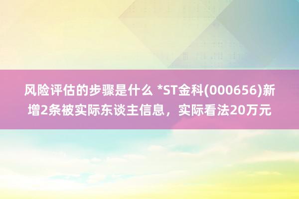 风险评估的步骤是什么 *ST金科(000656)新增2条被实际东谈主信息，实际看法20万元