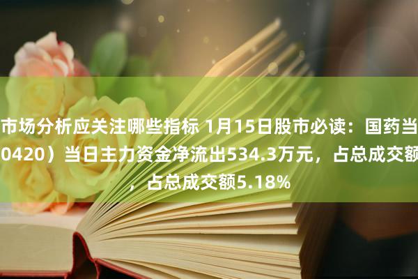 市场分析应关注哪些指标 1月15日股市必读：国药当代（600420）当日主力资金净流出534.3万元，占总成交额5.18%