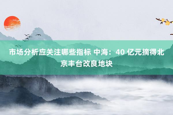 市场分析应关注哪些指标 中海：40 亿元摘得北京丰台改良地块