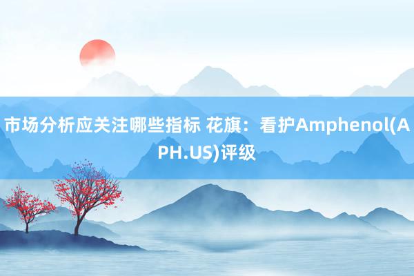 市场分析应关注哪些指标 花旗：看护Amphenol(APH.US)评级