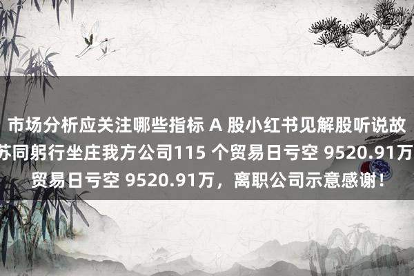 市场分析应关注哪些指标 A 股小红书见解股听说故事：华扬联众董事长苏同躬行坐庄我方公司115 个贸易日亏空 9520.91万，离职公司示意感谢！