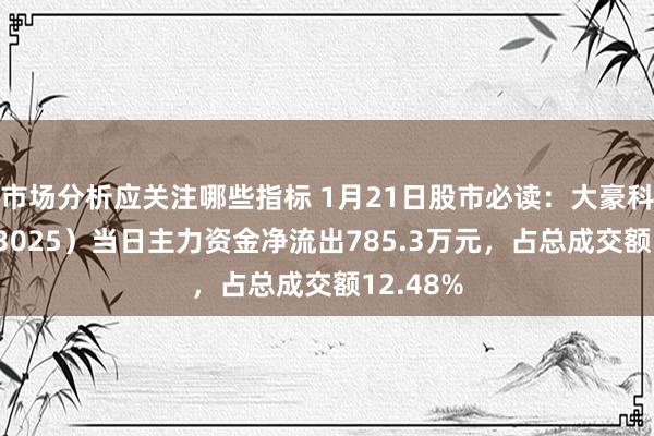 市场分析应关注哪些指标 1月21日股市必读：大豪科技（603025）当日主力资金净流出785.3万元，占总成交额12.48%