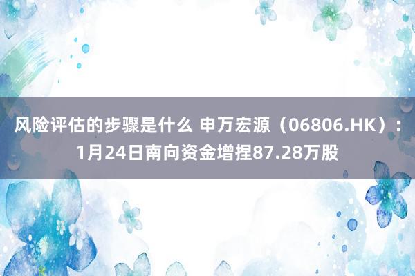 风险评估的步骤是什么 申万宏源（06806.HK）：1月24日南向资金增捏87.28万股