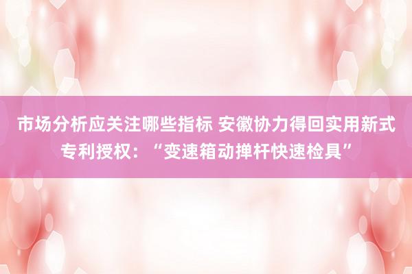 市场分析应关注哪些指标 安徽协力得回实用新式专利授权：“变速箱动掸杆快速检具”