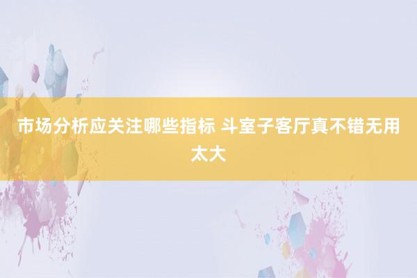 市场分析应关注哪些指标 斗室子客厅真不错无用太大