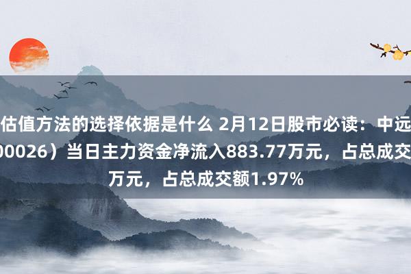 估值方法的选择依据是什么 2月12日股市必读：中远海能（600026）当日主力资金净流入883.77万元，占总成交额1.97%