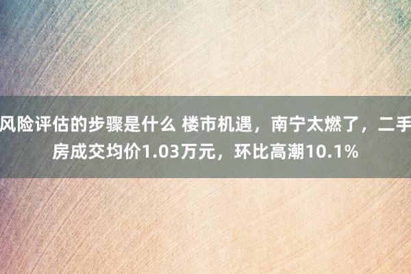 风险评估的步骤是什么 楼市机遇，南宁太燃了，二手房成交均价1.03万元，环比高潮10.1%