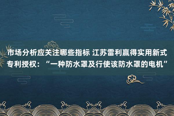 市场分析应关注哪些指标 江苏雷利赢得实用新式专利授权：“一种防水罩及行使该防水罩的电机”