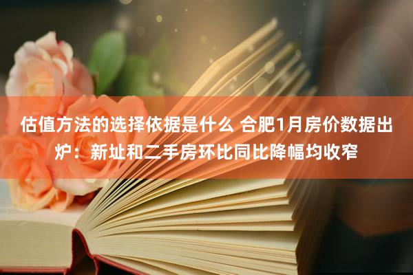 估值方法的选择依据是什么 合肥1月房价数据出炉：新址和二手房环比同比降幅均收窄