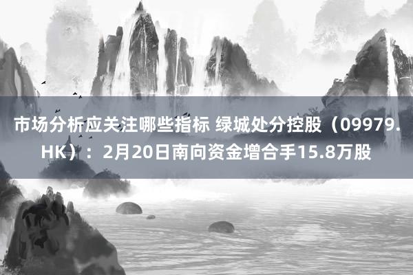 市场分析应关注哪些指标 绿城处分控股（09979.HK）：2月20日南向资金增合手15.8万股