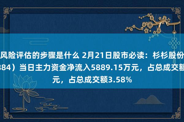 风险评估的步骤是什么 2月21日股市必读：杉杉股份（600884）当日主力资金净流入5889.15万元，占总成交额3.58%