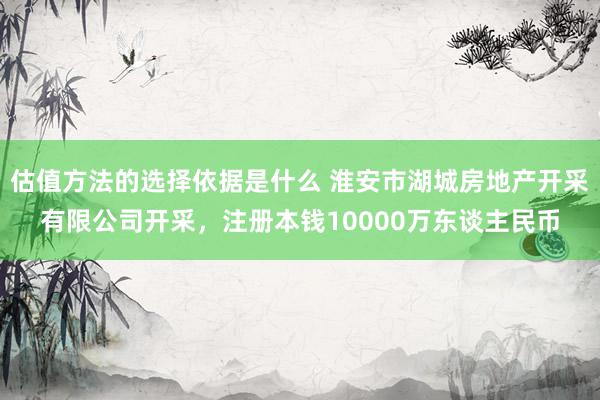 估值方法的选择依据是什么 淮安市湖城房地产开采有限公司开采，注册本钱10000万东谈主民币