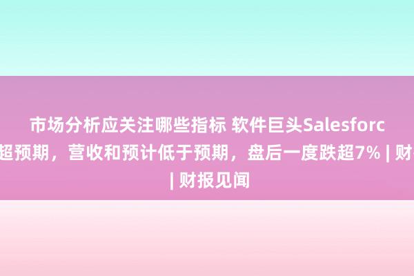 市场分析应关注哪些指标 软件巨头Salesforce盈利超预期，营收和预计低于预期，盘后一度跌超7% | 财报见闻