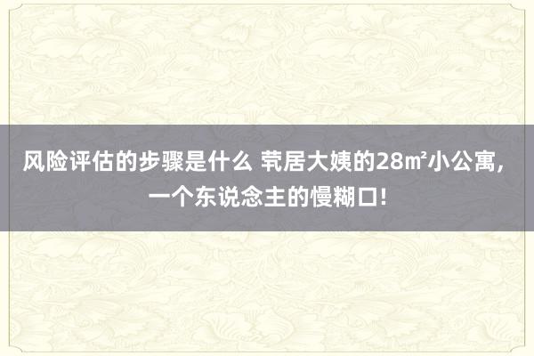 风险评估的步骤是什么 茕居大姨的28㎡小公寓, 一个东说念主的慢糊口!