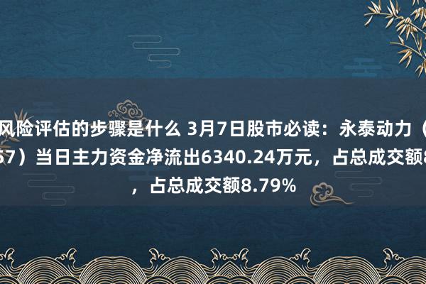 风险评估的步骤是什么 3月7日股市必读：永泰动力（600157）当日主力资金净流出6340.24万元，占总成交额8.79%